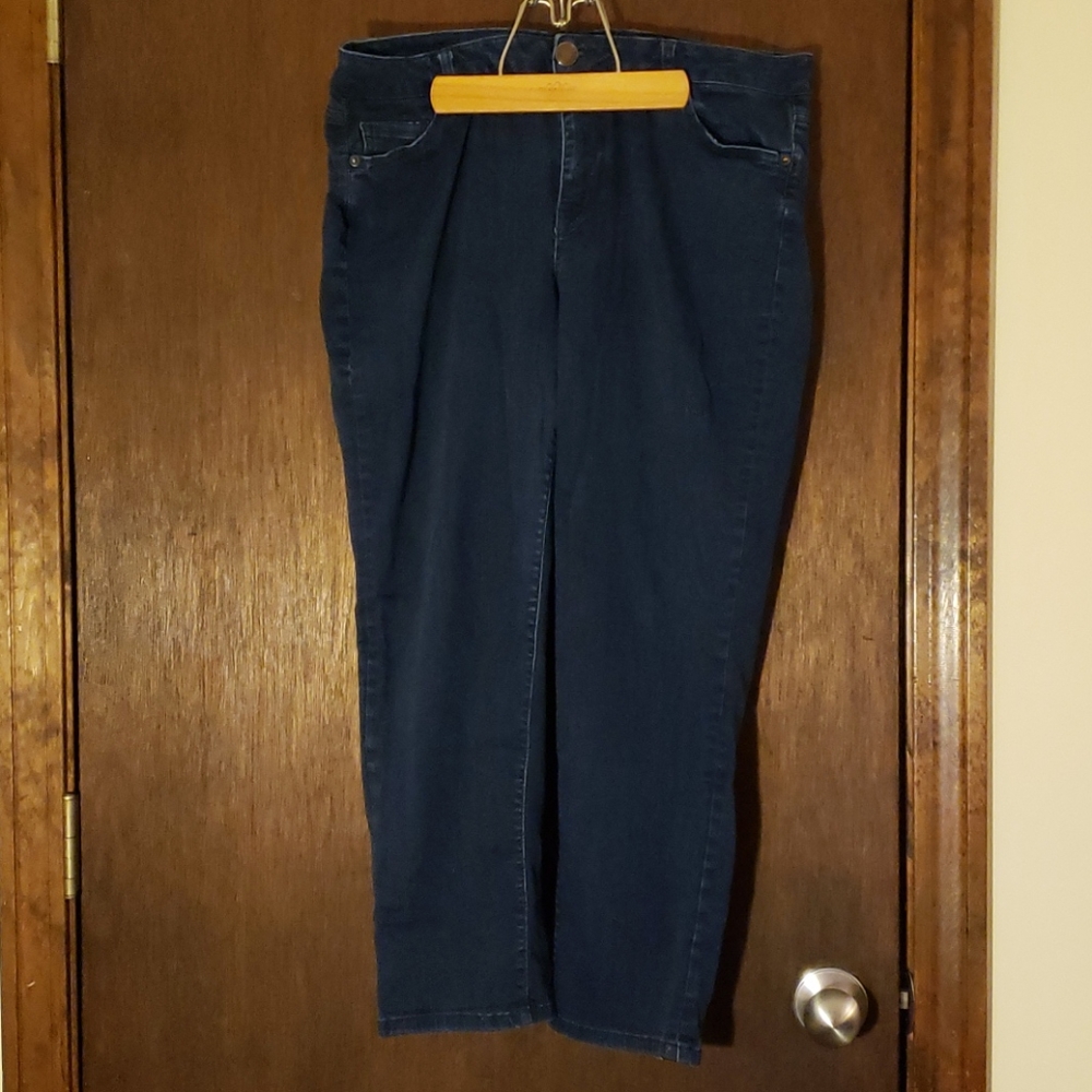 Lane Bryant Stretch Jeans